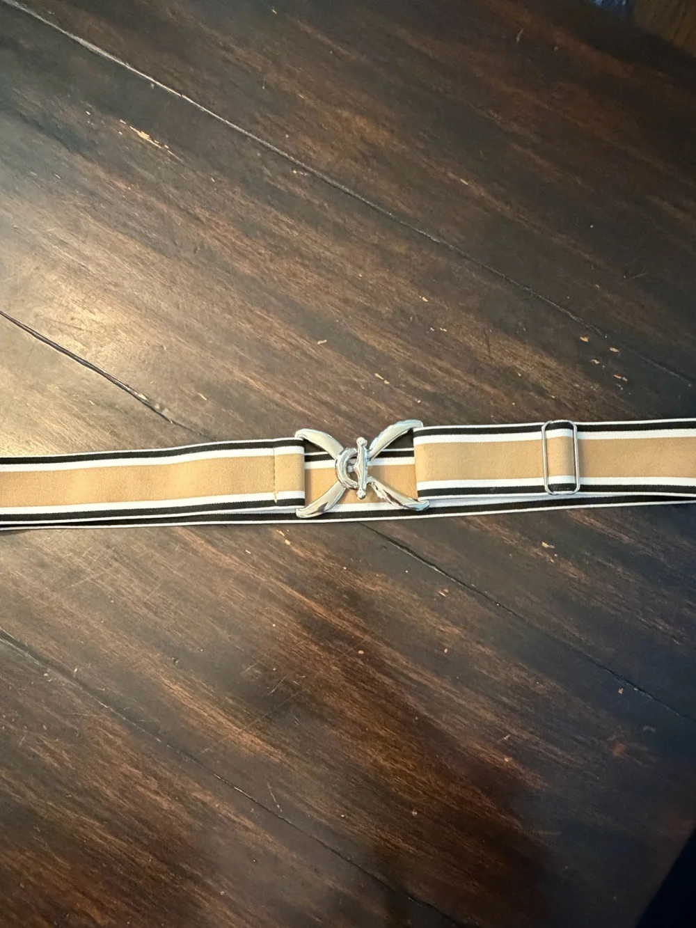 Striped Elastic Belt with Silver Interlocking Buckle - Tan/Black/White